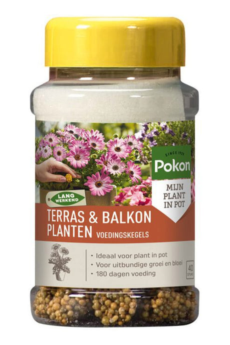 Pokon Produkte Terrasse Balkonpflanzen Ernährung lange Zapfen 40 Stk