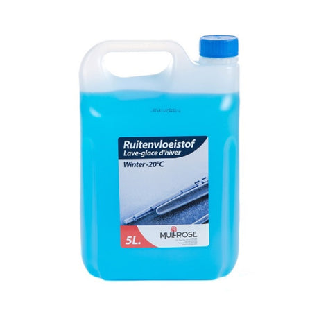 Scheibenwaschanlage 5 lt. blauer Winter
