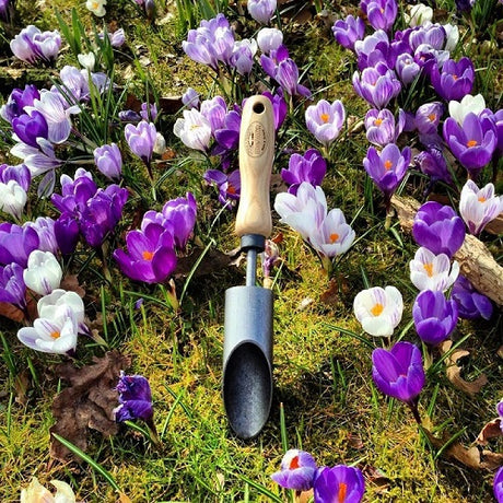 Die weißen Produkte Blumenzwiebelpflanzer Krokus Esche Griff 140 mm Dewhite