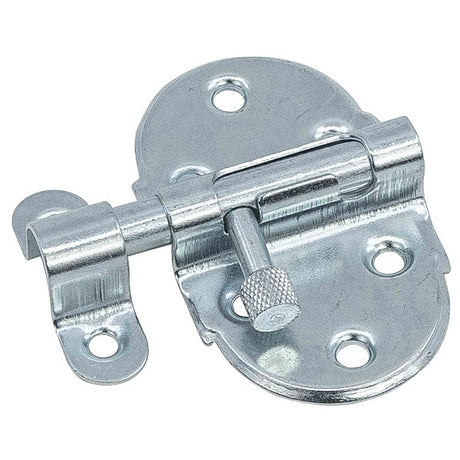 Waelbers Produkte Federriegel 40x75mm verzinkt