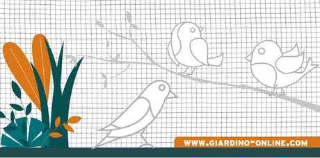 Giardino Produkte Gitter verschweißt verzinkt 12 7 0 8 0 51m x 5m