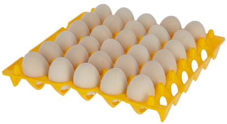 Produkte Eierhalter aus Kunststoff für 30 Eier