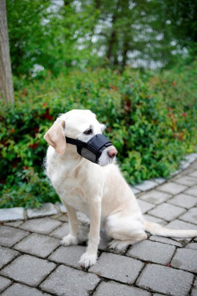 Produkte Nylonmaulkorb für Hunde, Größe XL, schwarz