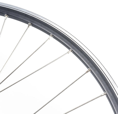 Contec Hinterrad Classic Z19 + Shimano SG-C30017Car. Hinterrad 28 2,34 2,00 Edelstahl konifiziert