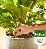 Pokon Terrassenbalkonpflanzen Futterkegel 10 Stk