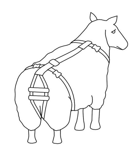Produkte Body Bidder Bandage Prolapsbandage für Schafe