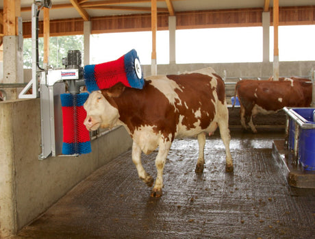 Produkte Happycow Kuhbürste Duo