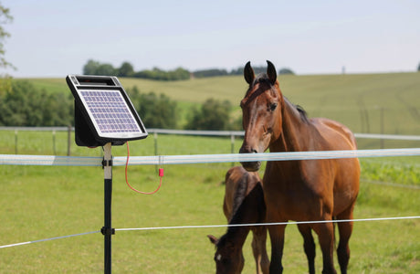 Ako Products Sun Power S 6 Elektrozaungerät mit Solarpanel