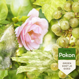 Pokon Products Bio-Behandlung für widerstandsfähige und gesunde Rosen, Spray 750 ml