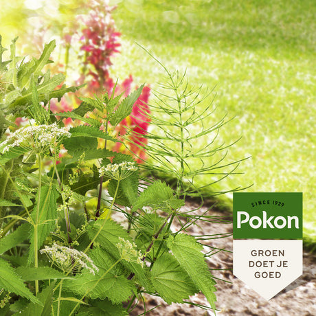 Pokon-Produkte gegen hartnäckiges Unkraut, Konzentrat 100 ml, Weedex