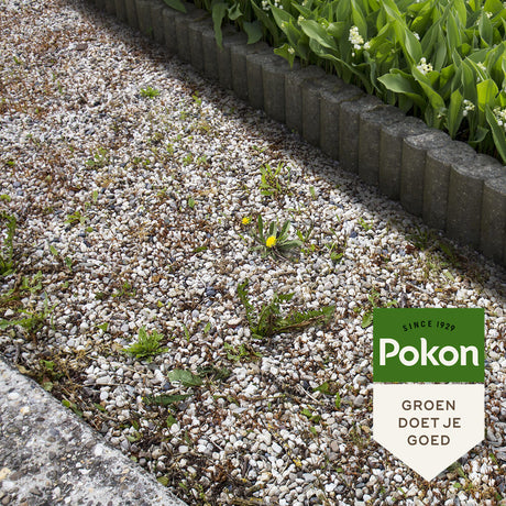 Pokon-Produkte gegen Unkraut, Konzentrat 450 ml