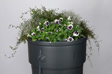 Produkte Regentonne Gartenpflanzgefäß 230l
