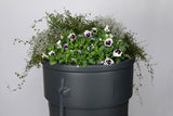 Regentonne für den Garten, 230 l