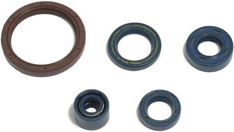 Athena Motordichtsatz Motorschild für TC250-450,03-10,