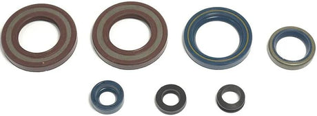 Athena Motordichtsatz Motorshield 600 LC4, 87-94,