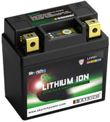 Skyrich Lifepo4-Batterie lfp01. Batterie lfp01-i Lithium