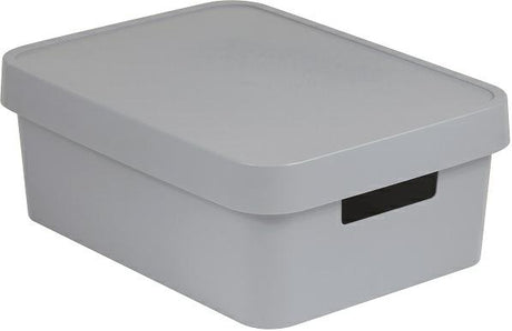Curver 233941 Infinity-Aufbewahrungsbox mit Deckel, 45 l, grau, mit Griffen