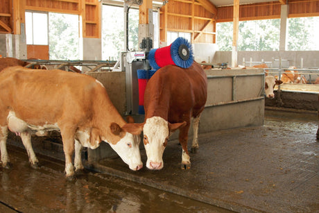 Produkte Happycow Kuhbürste Duo