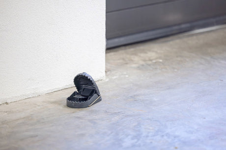 Producten display rattenval kunststof cit ratstop 25 stuks