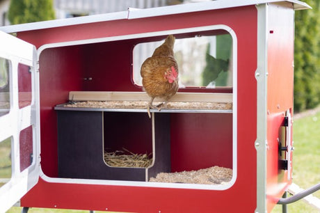 Abi Produkte Mobilecoop Hühnerstall aus Holz