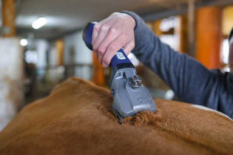 Aesculap Econom Produkte Akku-Rasierer Aesculap Bonum Pro Plus1 Akku Blau