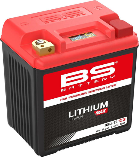 BS-Batterie Lifepo4 Batterie BSLI-12 . Batterie Li12 Bs Lithium-max