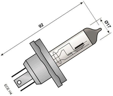 Spahn Scheinwerferlampe 6V 60 55W P45T