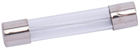 Spahn Glassicherung Glassicherungen 10a 6x32 mm (10 Stück)