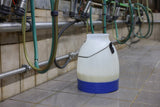 Kerbl Milcheimer halbtransparent blau 30 Liter