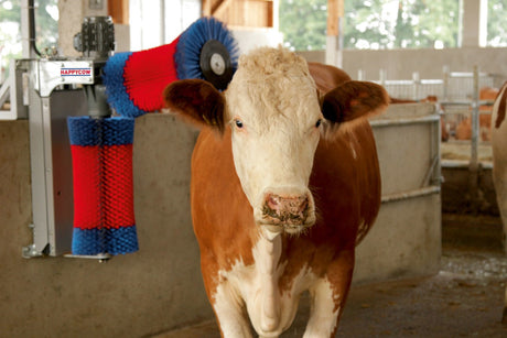 Produkte Happycow Kuhbürste Duo