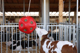 Roter Futterball