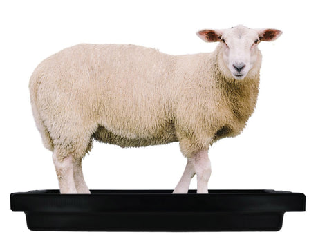 Imp Products Klauenbad Supercombi Mini 120x40x18cm 50l Schaf