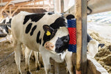 Halbrunde Kuhbürste Rinderbürste Blau-Rot XL