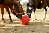 Roter Futterball