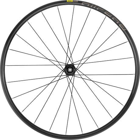 Mavic Rad Allroad 700 International Rad Allroad 700 International hinten 12x142mm