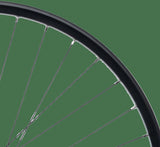 Contec Hinterrad Taurus 21 + Shimano FH-QC400. hr 29 aluminium hk sw 8-1 sp.sw 2,00