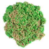 Kinetic Sand Kinetic Sand Muschel 127 gr