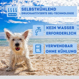Nosli Nosli selbstkühlende Kühlmatte für Hunde und Katzen, 50 x 90 cm, Eisblau