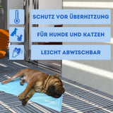 Nosli selbstkühlende Kühlmatte für Hunde und Katzen 76x103 cm meerblau