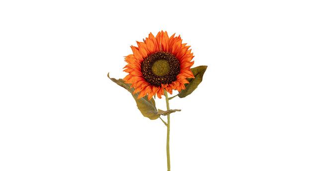 Zonnebloem l74cm oranje