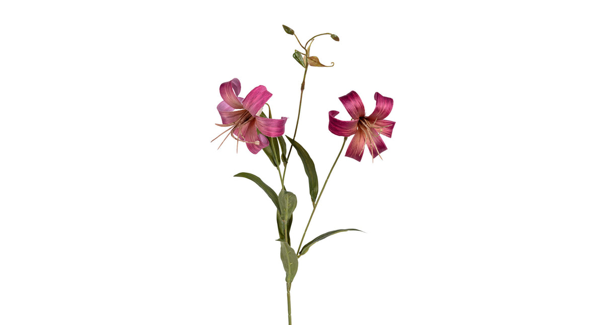 Lelie x2 l77cm cerise