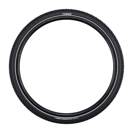 Schwalbe