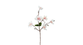 Magnolia l63cm creme roze