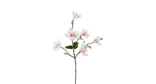 Magnolia l63cm creme roze