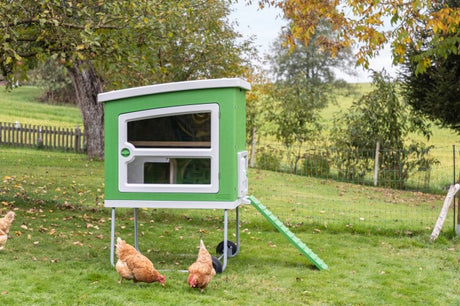 Abi Produkte Mobilecoop Hühnerstall aus Kunststoff