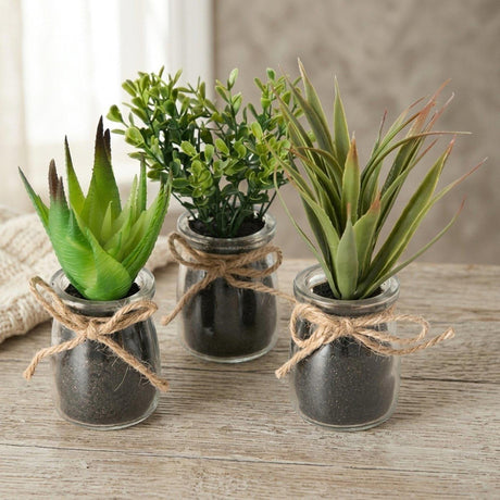 Boltze Home Sukkulente im Topf ã˜10x17cm Kunstpflanze im Glas