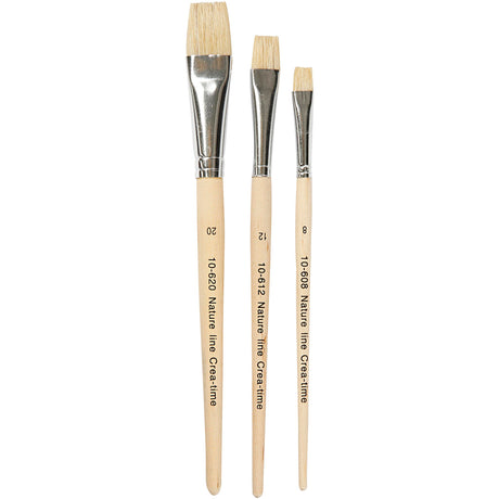 Kreativunternehmen http: www.cchobby.nl nature-line-brushes-size-8-12-20-l-18-5-20-5-cm-b-10-20-mm-flat-3-piece-1-box
