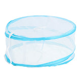 Fliegengitter Pop-up 30 cm 2 sortiert | 6 Stück
