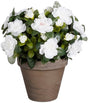 Mica decorations azalea kunstplant in bloempot stan - h31 x ø26 cm - wit