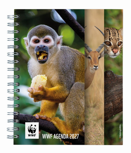Bekking blitz wwf weekagenda 2027